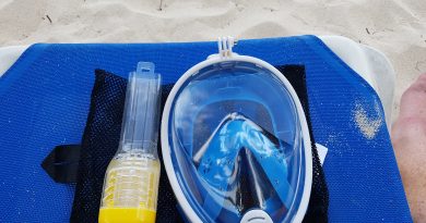 Full face snorkel